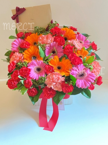 **FB17** Gerbera & Carnation Flower Box(Many colors combination)<br>太陽花及康乃馨花盒