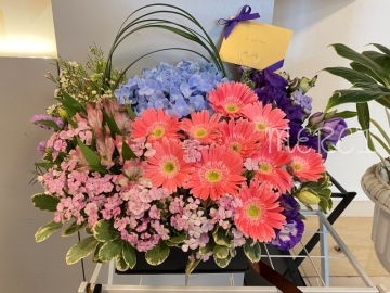 **FB15** Light Blue Hydrangea & Pink Gerbera Flower Box<br>淺藍色繡球花及粉太陽花花盒